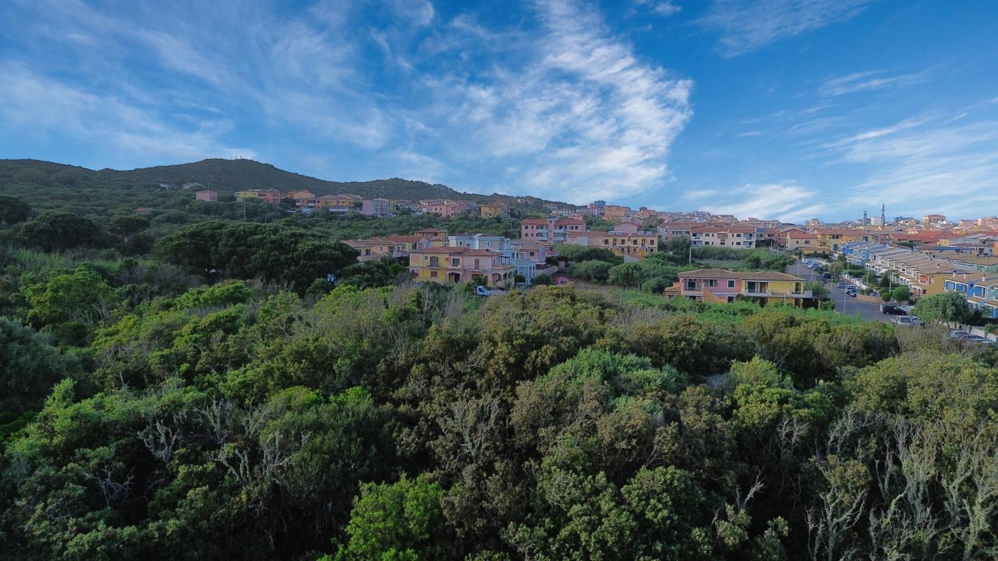 Case Vacanze A Santa Teresa Di Gallura Εξωτερικό φωτογραφία